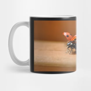 She's back the Ladybird has landed Mug